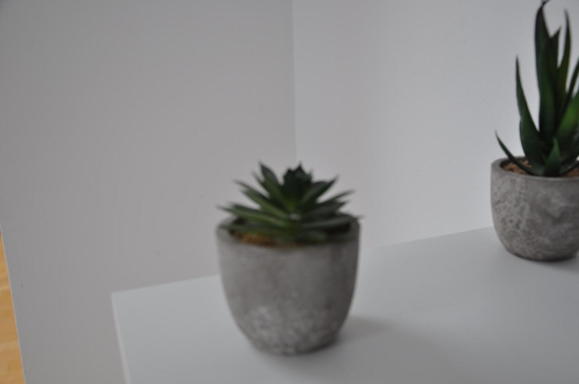 Ferienwohnung "Julka" Kostenloses W-Lan 기벨슈타트 외부 사진